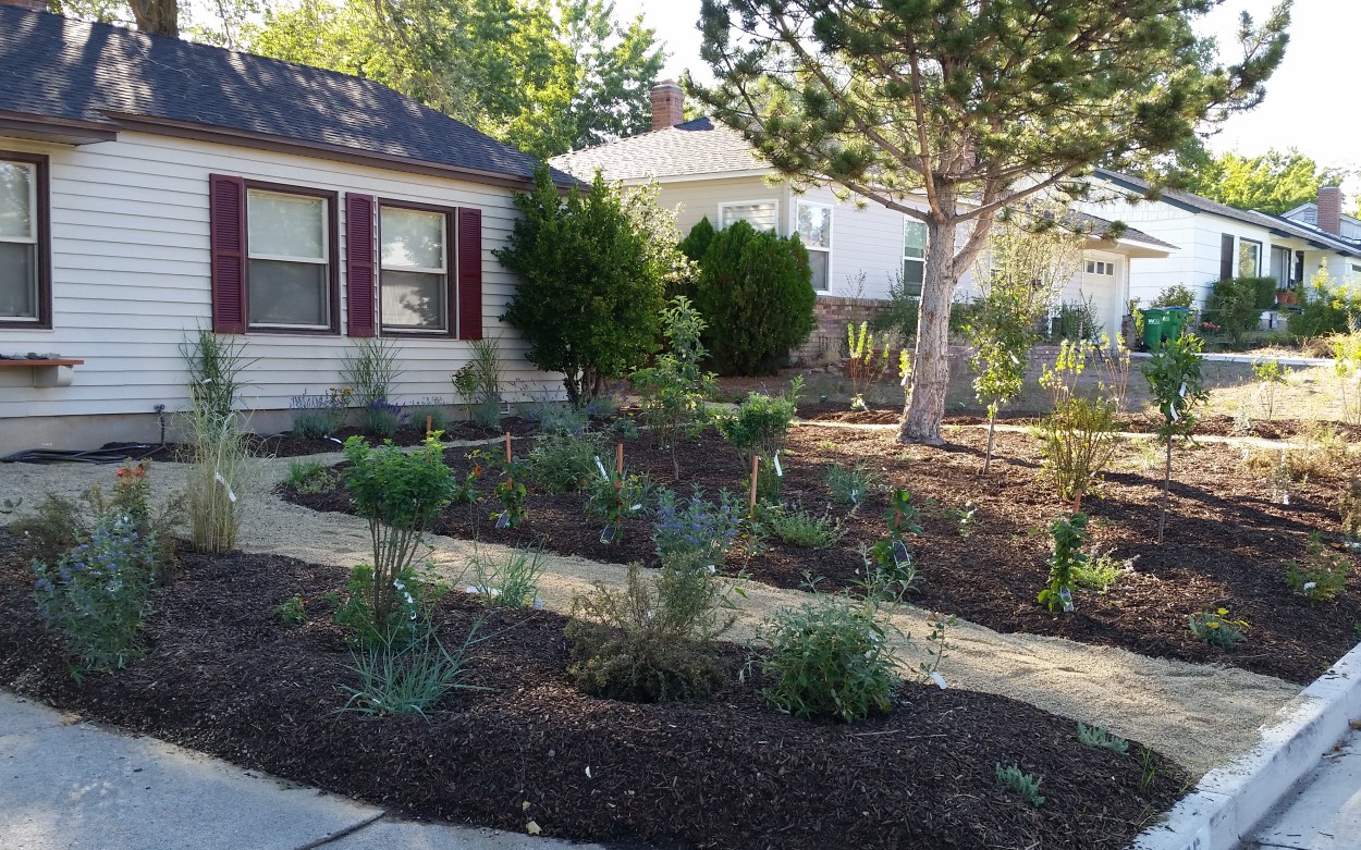 Xeriscape Nevada - Drought Prevention, Big Time - Part 3 - Full Circle