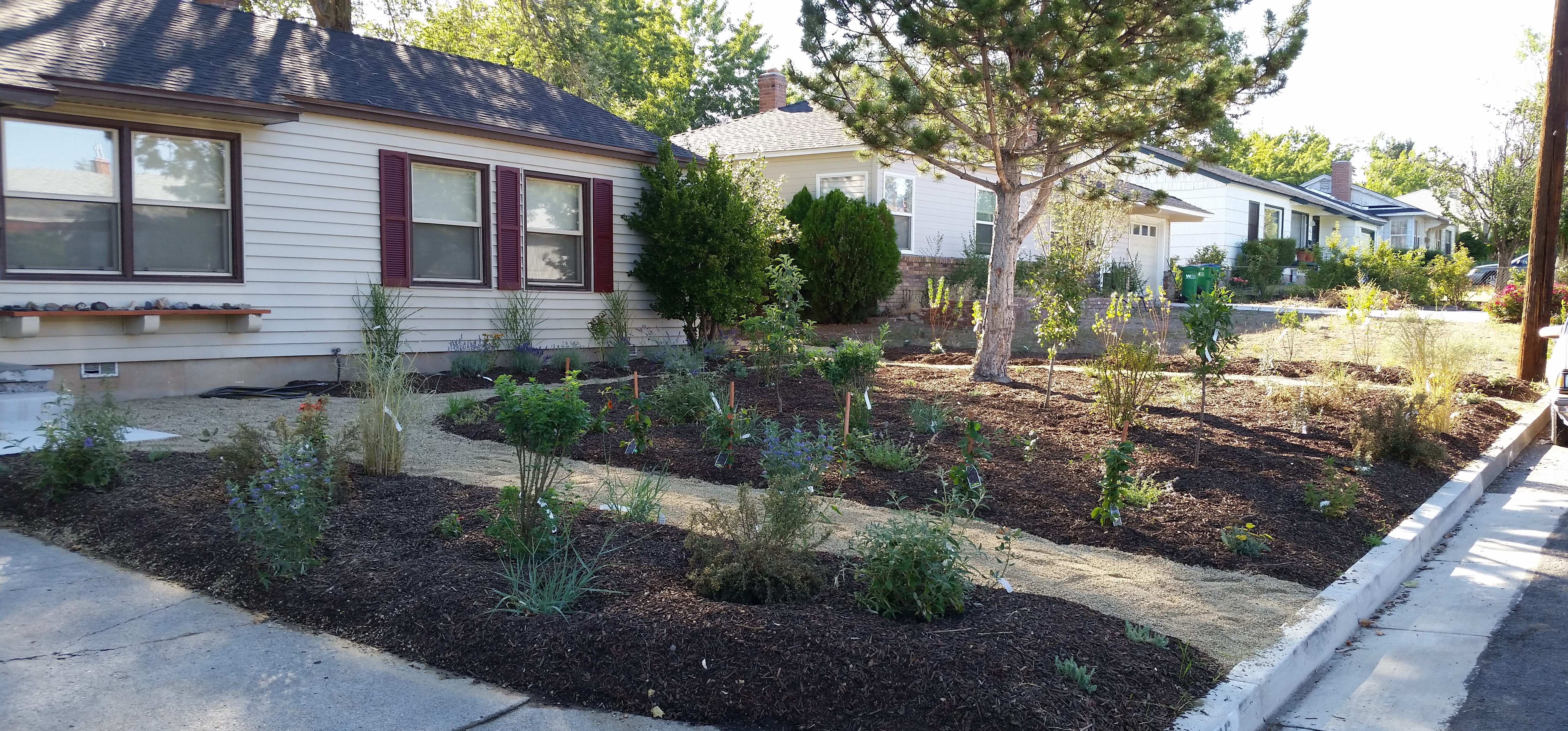 Xeriscape Nevada Drought Prevention, Diy Drought Resistant Landscaping