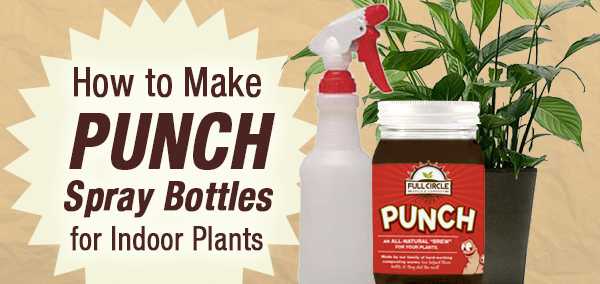 How to Make Punch Spray Bottles for Indoor Plants