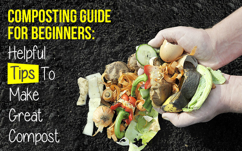 Composting Guide for Beginners: Helpful Tips