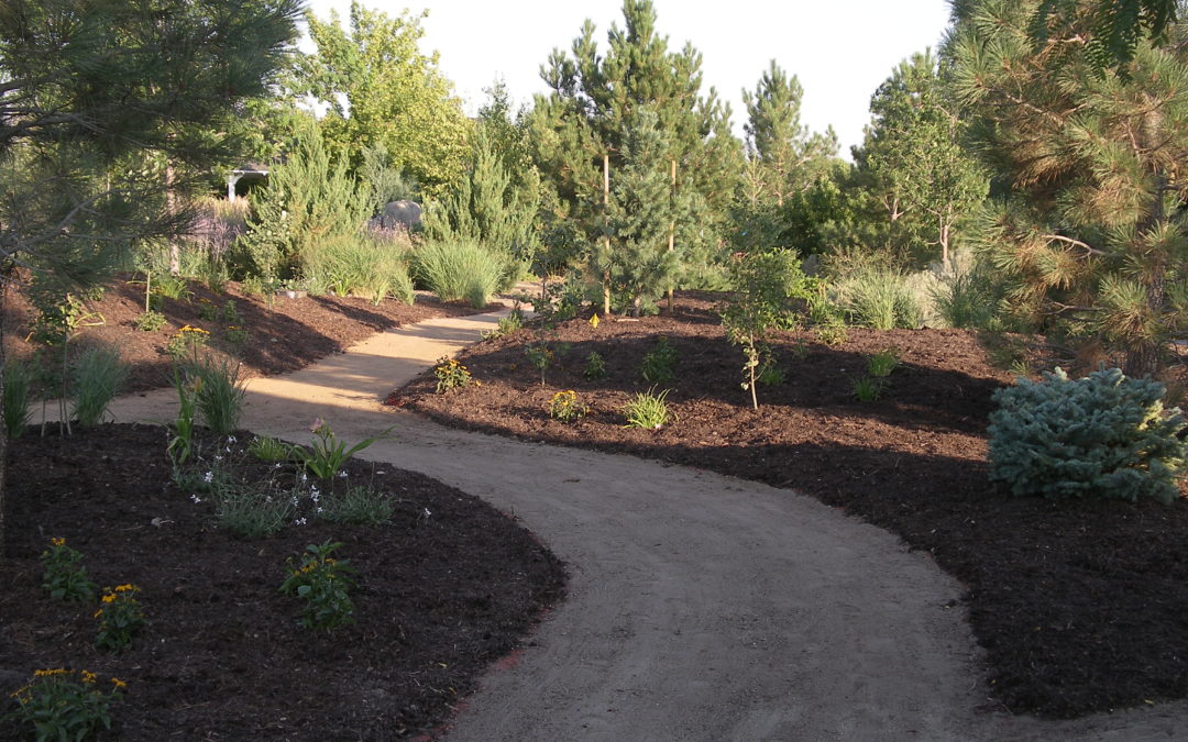 Choosing the Right Mulch To Let Your Garden Thrive and Lower Your Water Bill