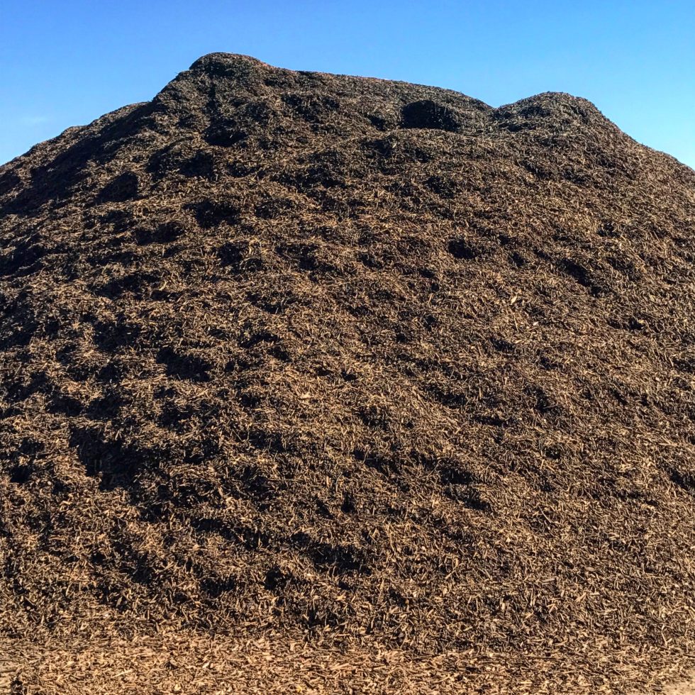 Choosing the Right Mulch To Let Your Garden Thrive