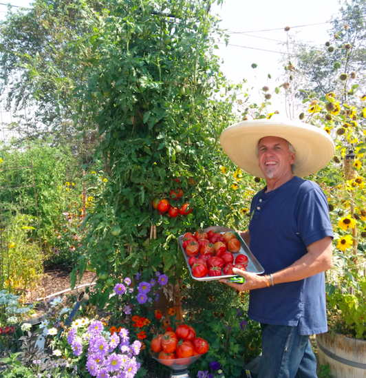 NVGardening nevada gardening resources