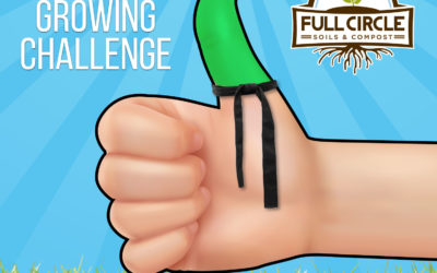 Full Circles Growing Challenge: Level 1: Black Thumbs Get Their Green Thumb Growing Belt … The Basics!