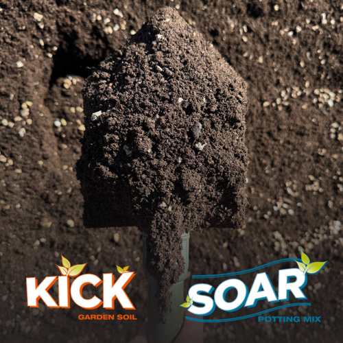 KICK/SOAR Combo Soil