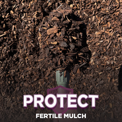 PROTECT Fertile Mulch